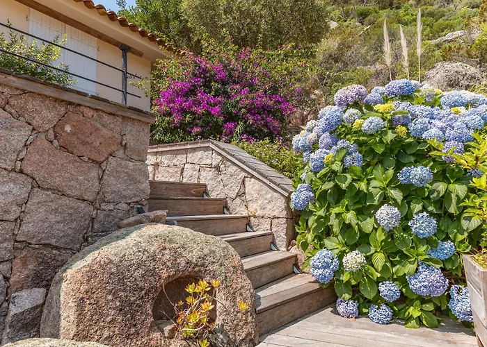 Elsa Di Palombaggia *